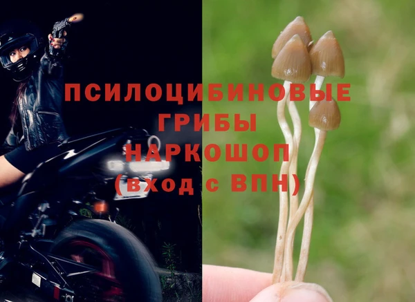 эйфоретик Белоозёрский